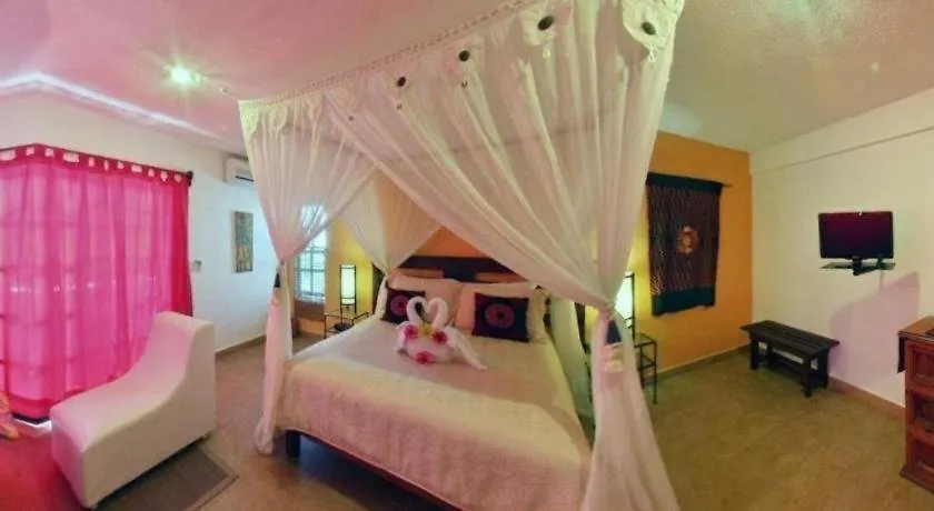 ***  Flamingo Hotel Cozumel México