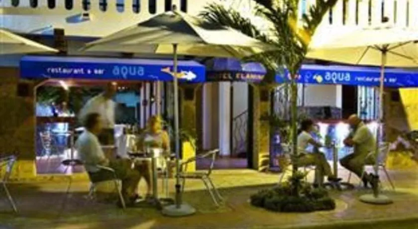Flamingo Hotel Cozumel