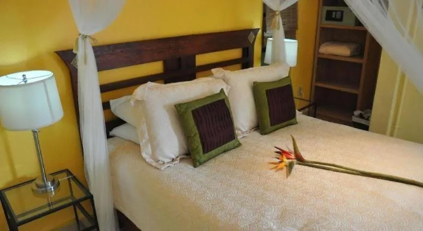 Flamingo Hotel Cozumel