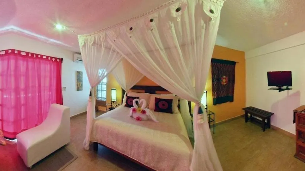 Flamingo Hotel Cozumel Mexico